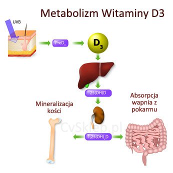 Witamina D3 Funkcje Oraz Skutki Niedoboru Suplementacja